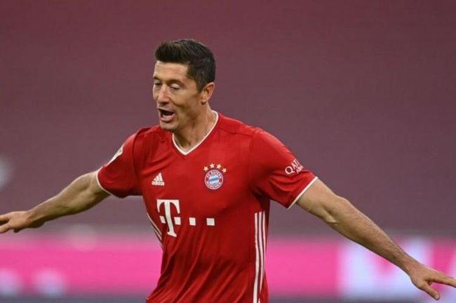 毛茸茸xxxx高清视频