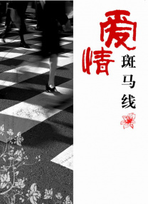 美女爽爽爽