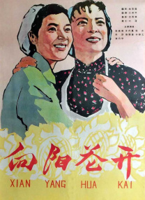 爱杏