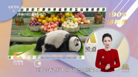 亚洲一区精品视频在线